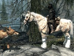 223469ss_sm2.jpg 223469ss_sm2.jpg