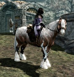 skyrimbraban3t.jpg skyrimbraban3t.jpg