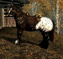 skyrimblackappy2.jpg skyrimblackappy2.jpg