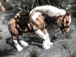 skyrimpaint.jpg skyrimpaint.jpg