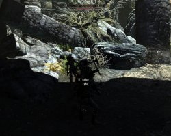 2011-12-10_00003.jpg 2011-12-10_00003.jpg