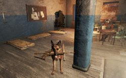 20170609135258_1.jpg 20170609135258_1.jpg