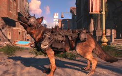 20170612135545_1.jpg 20170612135545_1.jpg