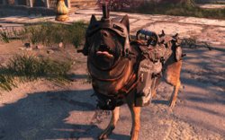 20170612135611_1.jpg 20170612135611_1.jpg