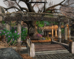 TESV 2017-06-20 21-55-39-199.jpg TESV 2017-06-20 21-55-39-199.jpg