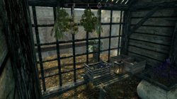 Treva-Residenz 8.jpg