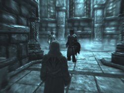 40 Die schon wieder.jpg 40 Die schon wieder.jpg