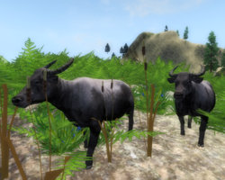 Oblivion 2015-08-04 00-53-56-355.jpg Oblivion 2015-08-04 00-53-56-355.jpg