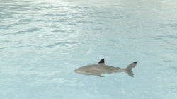 Screenshot-18.jpg Screenshot-18.jpg