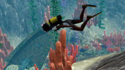 Screenshot-26.jpg Screenshot-26.jpg