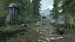 Netches.jpg Netches.jpg