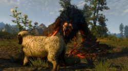 20180325125359_1.jpg 20180325125359_1.jpg