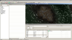 Zwischenablage02.jpg Zwischenablage02.jpg