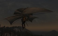 20799-1-1227736868.jpg 20799-1-1227736868.jpg