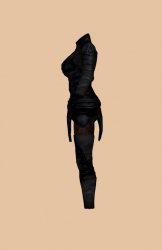 torso_1.jpg torso_1.jpg