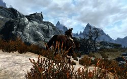 2012-02-04_00038.jpg 2012-02-04_00038.jpg