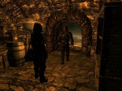 Mercer_Schatz.jpg Mercer_Schatz.jpg