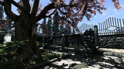 10901-1-1329987080.jpg 10901-1-1329987080.jpg