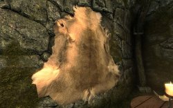 2012-03-01_00004.jpg 2012-03-01_00004.jpg