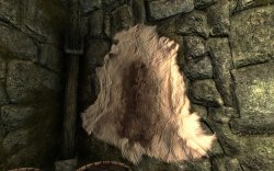 2012-03-01_00005.jpg 2012-03-01_00005.jpg