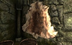 2012-03-01_00007.jpg 2012-03-01_00007.jpg