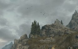 11555-5-1330425851.jpg 11555-5-1330425851.jpg