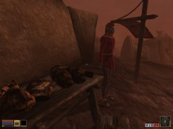 1328544399_fullres.jpg 1328544399_fullres.jpg