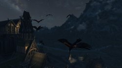 Weißlauf Vögel.jpg Weißlauf Vögel.jpg