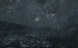 8562-3-1328822547.jpg 8562-3-1328822547.jpg