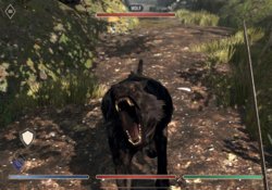 BL Angriff eines Wolfs.jpg BL Angriff eines Wolfs.jpg