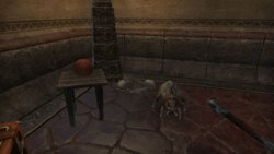 zu lange allein.jpg zu lange allein.jpg