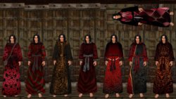 Morrowind 2019-05-08 Acht Roben.jpg