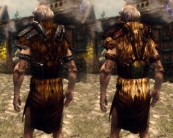 male_back.jpg male_back.jpg