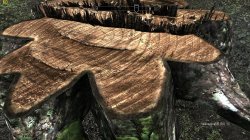 TESV 2012-06-14 15-44-24-30.jpg