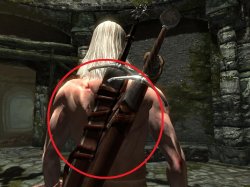 sassss.jpg sassss.jpg