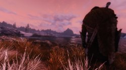 22822-2-1345584135.jpg 22822-2-1345584135.jpg