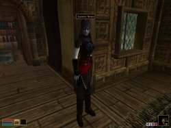 Neue Rüstung03.jpg Neue Rüstung03.jpg