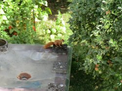 CIMG6726.jpg CIMG6726.jpg