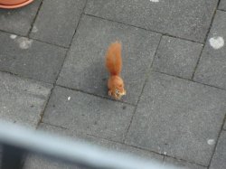 CIMG6567.jpg CIMG6567.jpg