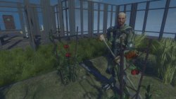 Institute Agend Abobe - bottom area 4.jpg