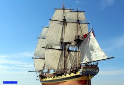 M1478-1.jpg M1478-1.jpg