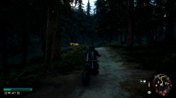 DaysGone-2022-05-10-17-58-14-619.jpg