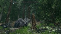 gallery_976_19_3321.jpg gallery_976_19_3321.jpg