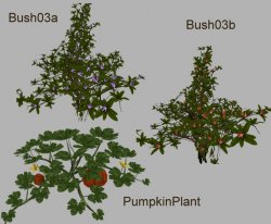 43157-1-1357053292.jpg 43157-1-1357053292.jpg