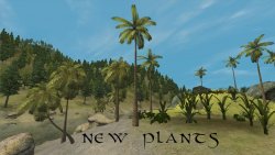 43157-1-1357053385.jpg 43157-1-1357053385.jpg