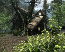 Radagast´s Haus (4).jpg Radagast´s Haus (4).jpg