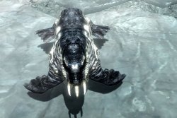 icehorker.jpg icehorker.jpg