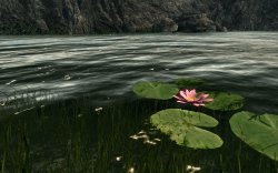 ScreenShot29.jpg ScreenShot29.jpg