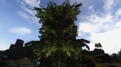 TESV 2013-04-16 19-05-51-64.jpg TESV 2013-04-16 19-05-51-64.jpg