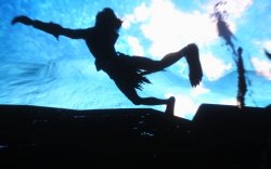 293fc61676ee278be019782fa795579f.jpg 293fc61676ee278be019782fa795579f.jpg